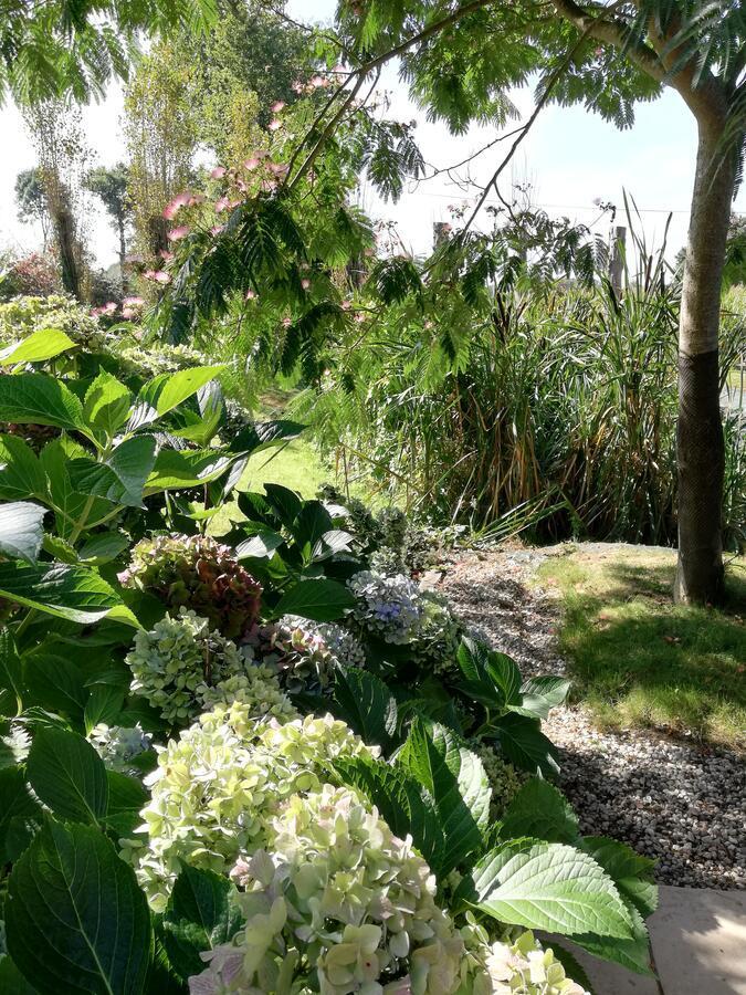 Les Petites Chapelles Bed & Breakfast